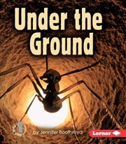 Under the ground cover image