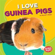 I Love Guinea Pigs I Love Guinea Pigs
