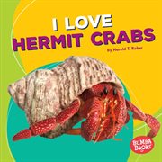 I love hermit crabs cover image