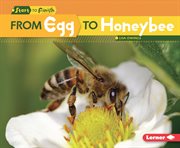 From egg to honeybee cover image