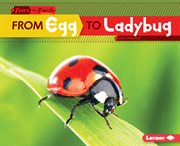 From egg to ladybug cover image