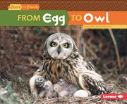 From egg to owl cover image