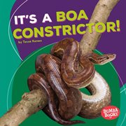 It's a boa constrictor! cover image