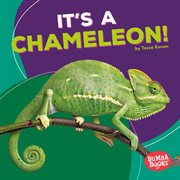 It's a chameleon! cover image
