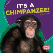 It's a chimpanzee! cover image