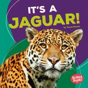 It's a jaguar! cover image