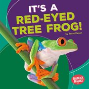 It's a red-eyed tree frog! cover image