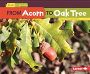 From acorn to oak tree cover image