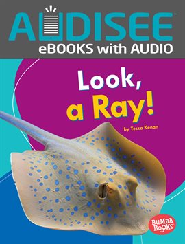 Cover image for Look, a Ray!