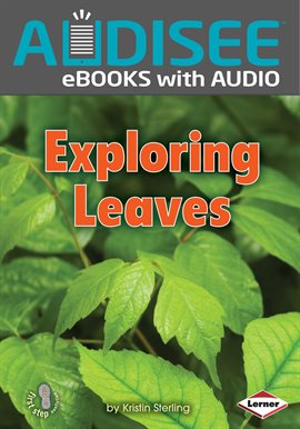 Cover image for Exploring Leaves