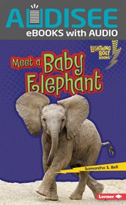 Meet a Baby Elephant cover image