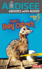Meet a baby ostrich cover image