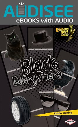 Cover image for Black Everywhere