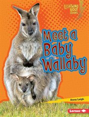 Meet a baby wallaby cover image