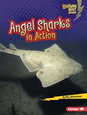 Angel sharks in action cover image