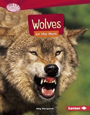 Wolves on the hunt cover image