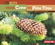 From cone to pine tree cover image