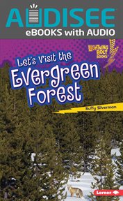 Let's visit the evergreen forest cover image