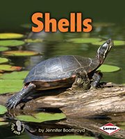 Shells cover image