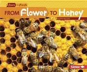 From flower to honey cover image