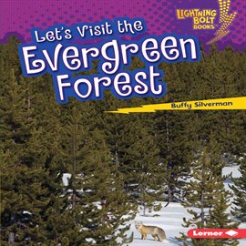 Cover image for Let's Visit the Evergreen Forest