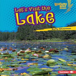 Cover image for Let's Visit the Lake