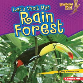 Cover image for Let's Visit the Rain Forest