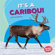 It's a caribou! cover image
