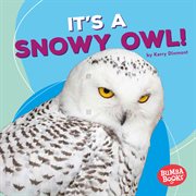 It's a snowy owl! cover image