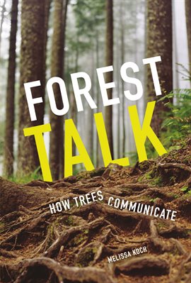 Cover image for Forest Talk
