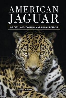 Cover image for American Jaguar