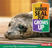 A harbor seal pup grows up cover image