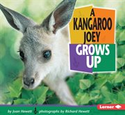 A Kangaroo Joey Grows up A Kangaroo Joey Grows up