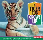 A tiger cub grows up cover image
