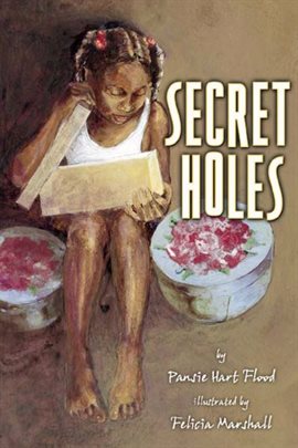 Cover image for Secret Holes