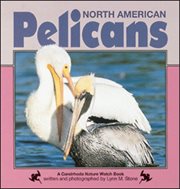 North American pelicans cover image