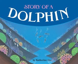 Cover image for Story of a Dolphin