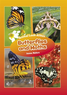 Cover image for Butterflies and Moths