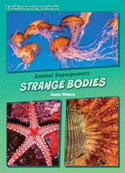 Strange bodies cover image