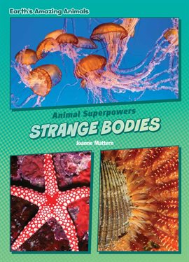 Cover image for Strange Bodies
