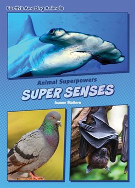 Cover image for Super Senses