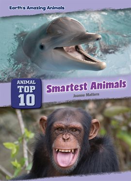 Cover image for Smartest Animals