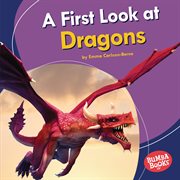 A first look at dragons cover image