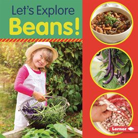 Cover image for Let's Explore Beans!