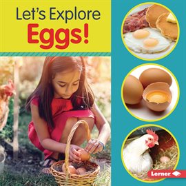 Cover image for Let's Explore Eggs!