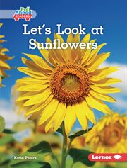 Let's look at sunflowers cover image