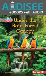 Under the rain forest canopy cover image