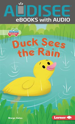 Cover image for Duck Sees the Rain