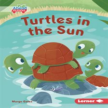 Cover image for Turtles in the Sun