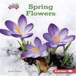 Spring flowers cover image